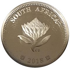 2 1/2 Cents Computed Tomography