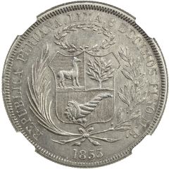 1 Peso Pattern