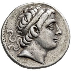 Tetradrachm - Seleukos III Keraunos Seleucia on the Tigris