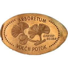 Arboretum 1