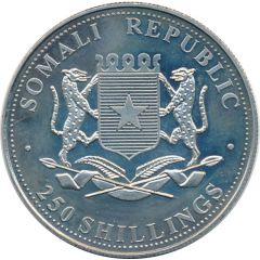 250 Shillings Basset Hound