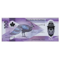 100 Piso