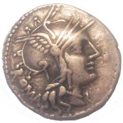 Denarius Tullia: Marcus Tullius, ROMA / M•TVLLI