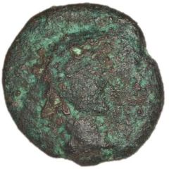 Bronze Unit - Amminus Head Right