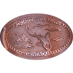 Aquarium de Paris - Cinéaqua requin zèbre
