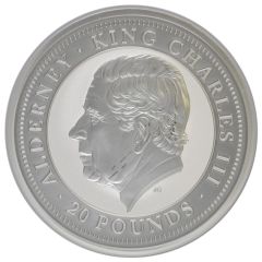 20 Pounds - Charles III Bald Eagle, Silver 10oz.