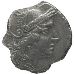 Quinarius C. Varro, ROMA