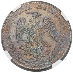 8 Reales Pattern