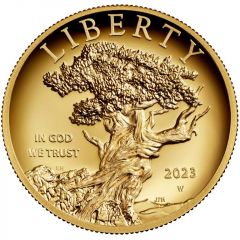 100 Dollars American Liberty High Relief