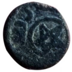 Fals - Anonymous Jerusalem