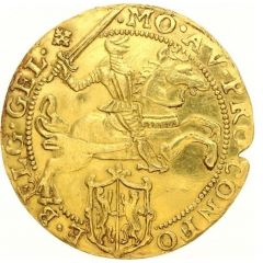 Golden Rider