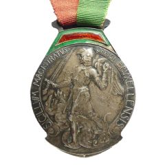 Medal - Public distribution services of electricity, gas and water Brussels