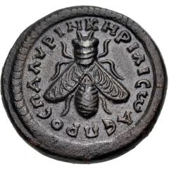 Æ Tessera