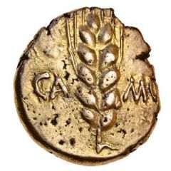 Stater `Trinovantian V` - Cunobeline