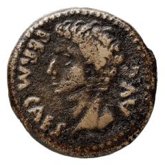 Semis - Augustus COLONIA PATRICIA