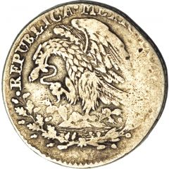 1 Real Profile eagle