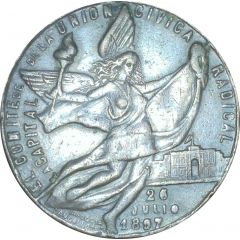 Medal - VICTIMS OF THE PARK REVOLUTION