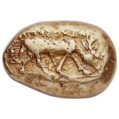 Stater