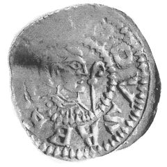 Denier - Thiofrid