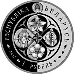 1 Rouble Potentilla Rupestris