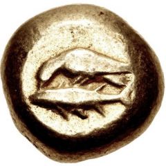 Stater