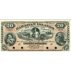 20 Dollars Certificate of Deposit
