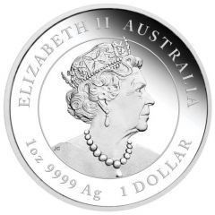 1 Dollar - Elizabeth II 6th Portrait - Year of the Mouse - Silver Coloured Proof
