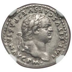 Denarius - Titus TR P IX IMP XV COS VIII P P