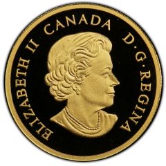 2 Dollars - Elizabeth II Polar bear magnified view