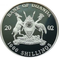 1000 Shillings Football