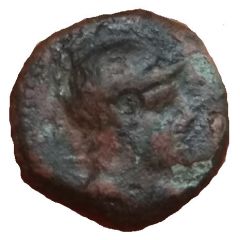 Chalkon - Ptolemaios V