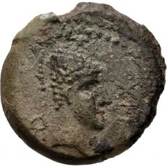 1/2 Unit Lixus
