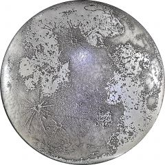 Medal - 50 Years Moon Landing Event Medal