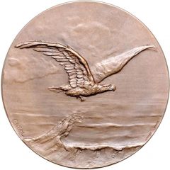Donation medal - National Donations for the Aviation