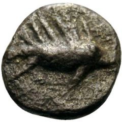 Hemiobol