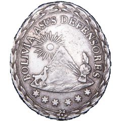 Medal - Defenders in Cobija