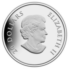 20 Dollars - Elizabeth II Canadian peacekeeping in Cyprus