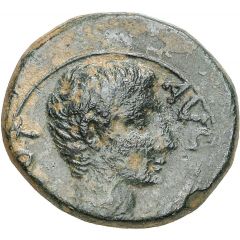 Æ Unit - Augustus SC