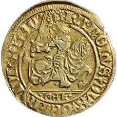 Gulden - Charles of Egmont punctuation by lilies