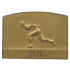 Medal Skating