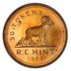 50 Tokens - Big Horn Sheep