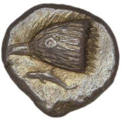 Drachm