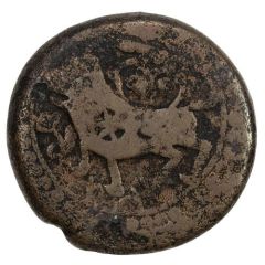 Falus - Anonymous Khoy mint