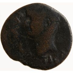 Æ - Tiberius M MVN IVL VTIC D D P P
