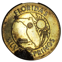 Florida`s Silver Springs
