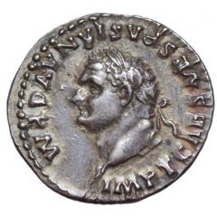 Denarius - Titus TR P IX IMP XV COS VIII P P