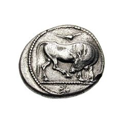 Tetradrachm