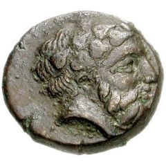 Æ - Cetriporis