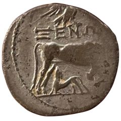 Drachm Xenon - Purba