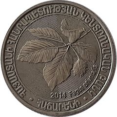 200 Dram Fagus Orientalis